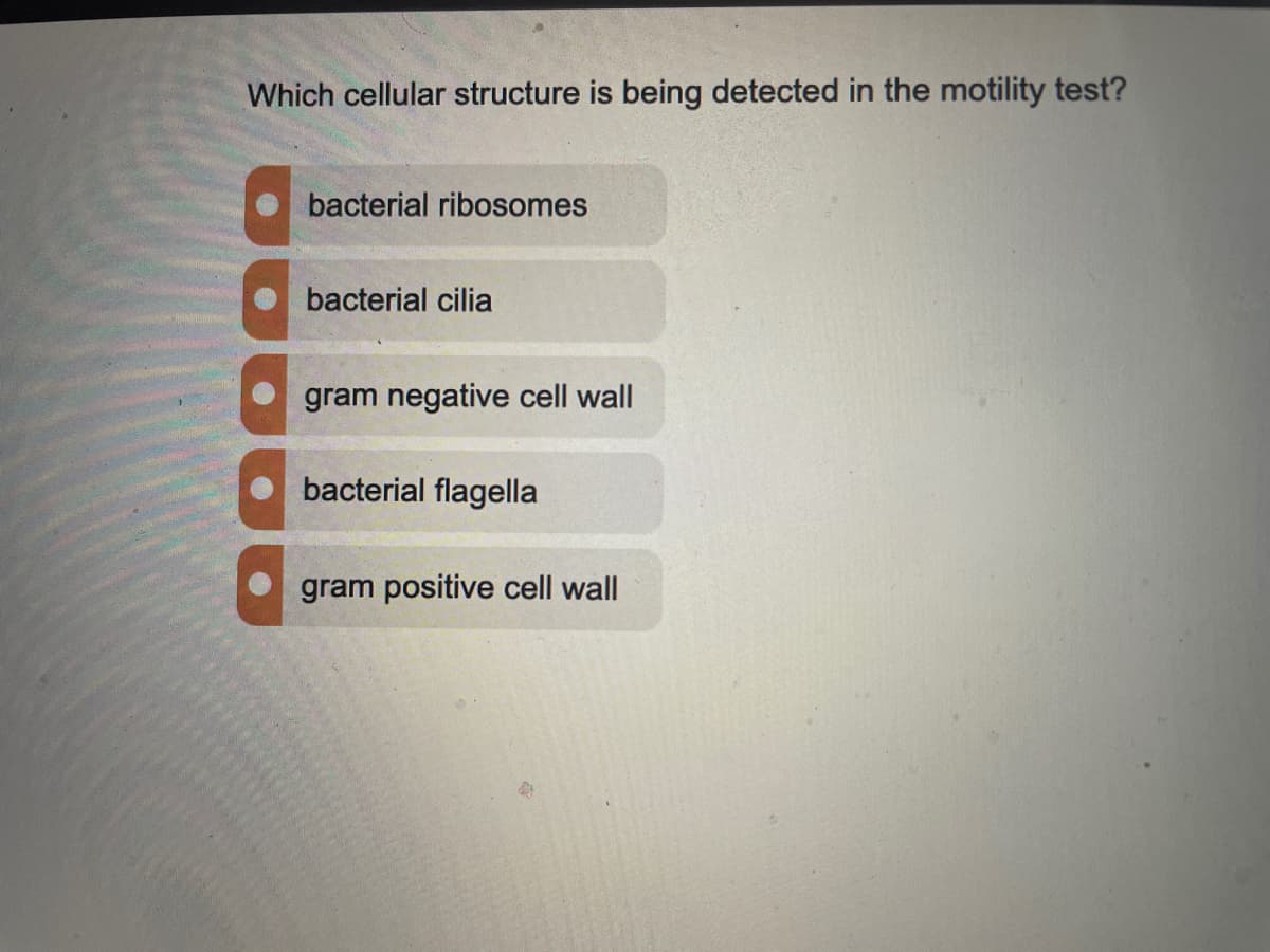Which cellular structure is being detected in the motility test?
bacterial ribosomes
bacterial cilia
gram negative cell wall
bacterial flagella
gram positive cell wall
