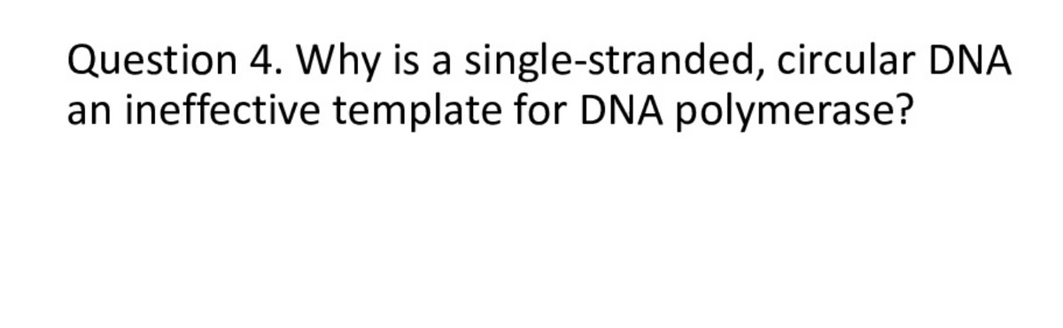 Question 4. Why is a single-stranded, circular DNA
an ineffective template for DNA polymerase?
