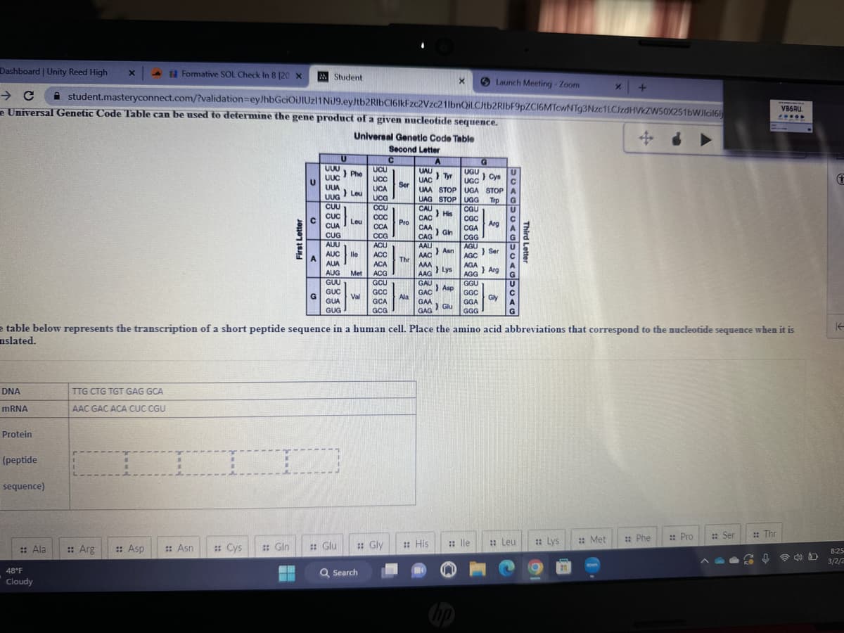 Dashboard | Unity Reed High X
A Formative SOL Check In 8 [20 X
Launch Meeting - Zoom
- с
student.masteryconnect.com/?validation-eyJhbGciOiJIUZI1 NiJ9.eyJtb2RlbCI6IkFzc2Vzc21lbnQiLCJtb2RlbF9pZCI6MTcwNTg3Nzc1LCJzdHVkZW50X251bWJlcil6
e Universal Genetic Code Table can be used to determine the gene product of a given nucleotide sequence.
Universal Genetic Code Table
Second Letter
C
G
A
UAU
UAC Tyr
}
UGU
UGC Cys
}
UAA STOP UGA STOP A
UAG STOP UGG Trp G
CAU
CGU
His
CAC
CGC
CGA
CAA Gin
)
CAG
CGG
AAU
}
AAC Asn
AAA
}
AGU
AGC
AGA
AGG
GGU
GGC
GGA
GGG
DNA
mRNA
Protein
(peptide
sequence)
:: Ala
48°F
Cloudy
TTG CTG TGT GAG GCA
AAC GAC ACA CUC CGU
1
:: Arg
:: Asp
:: Asn
:: Cys
First Letter
:: Gin
U
ww
с
A
G
Student
U
UUU
>
UUC
UUA
UUG Leu
Pho
CUU
CUC
CUA
CUG
AUU
AUC
AUA
AUG Met
GUU
GUC
GUA
GUG
Leu
Val
UCU
UCC
lle ACC
ACA
ACG
GCU
GCC
UCA
UCG
CCU
CCC
CCA
CCG
ACU
Q Search
GCA
GCG
Glu :: Gly
Sor
e table below represents the transcription of a short peptide sequence in a human cell. Place the amino acid abbreviations that correspond to the nucleotide sequence when it is
nslated.
Pro
Thr
Ala
AAG
Lys
GAU Asp
GAC
GAA
>
GAG Glu
:: His
X
:: lle
hp
Arg
} Ser
} Arg
Gly
MOAGUCAGO <>0<G
Third Letter
:: Leu
:: Lys
X
:: Met
:: Phe
:: Pro
VESRI
FOROD
:: Ser ::Thr
f
8:25
3/2/2