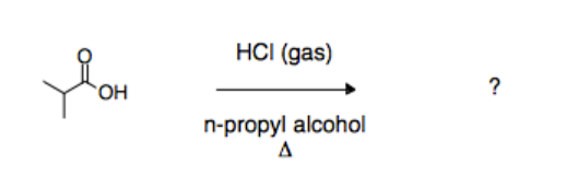 YOH
OH
HCI (gas)
n-propyl alcohol
Δ
?