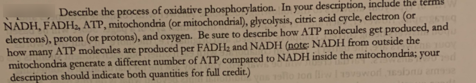Describe the process of oxidative phosphorylation. In your description, include the terms
NADH, FADH2, ATP, mitochondria (or mitochondrial), glycolysis, citric acid cycle, electron (or
electrons), proton (or protons), and oxygen. Be sure to describe how ATP molecules get produced, and
how many ATP molecules are produced per FADH2 and NADH (note; NADH from outside the
mitochondria generate a different number of ATP compared to NADH inside the mitochondria; your
description should indicate both quantities for full credit.)
vas 19llo ton lle
vowor 1esb
