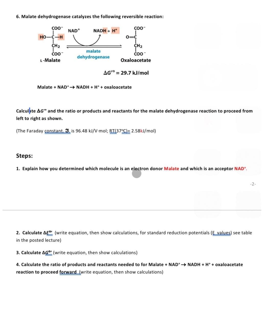 6. Malate dehydrogenase catalyzes the following reversible reaction:
COO-
HO-C-H
CH₂
COO™
L-Malate
NAD+
y
malate
NADH + H+
dehydrogenase
COO-
0=C
CH₂
COO™
Oxaloacetate
AG'° = 29.7 kJ/mol
Malate + NAD+→NADH + H+ + oxaloacetate
Calculate AG" and the ratio or products and reactants for the malate dehydrogenase reaction to proceed from
left to right as shown.
(The Faraday constant. 3, is 96.48 kJ/V-mol; RT(37°C)= 2.58kJ/mol)
Steps:
1. Explain how you determined which molecule is an electron donor Malate and which is an acceptor NAD*.
-2-
2. Calculate AED (write equation, then show calculations, for standard reduction potentials (E_values) see table
in the posted lecture)
3. Calculate AG (write equation, then show calculations)
4. Calculate the ratio of products and reactants needed to for Malate + NAD+→→NADH + H+ + oxaloacetate
reaction to proceed forward (write equation, then show calculations)