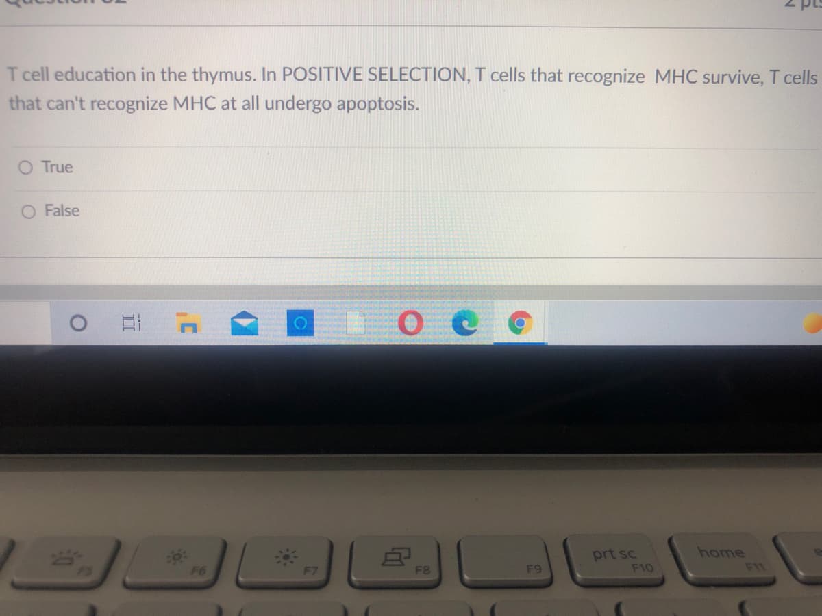 T cell education in the thymus. In POSITIVE SELECTION, T cells that recognize MHC survive, T cells
that can't recognize MHC at all undergo apoptosis.
O True
O False
prt sc
home
F6
F7
F8
F9
F10
F11
17
