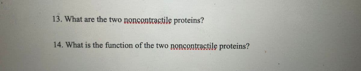 13. What are the two noncontractile proteins?
14. What is the function of the two noncontractile proteins?
