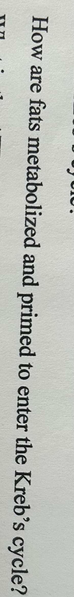 How are fats metabolized and primed to enter the Kreb's cycle?