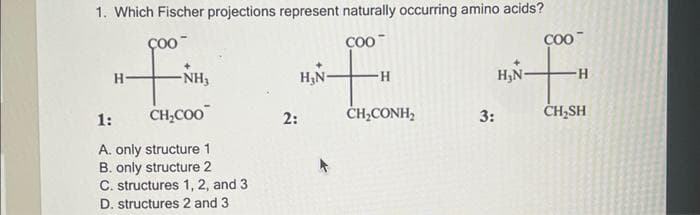 1. Which Fischer projections represent naturally occurring amino acids?
COO™
H-
-NH₂
1:
CH₂COO
A. only structure 1
B. only structure 2
C. structures 1, 2, and 3
D. structures 2 and 3
2:
H₂N-
-H
CH,CONH,
3:
COO™
+
CH₂SH
H₂N-
H