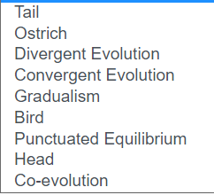 Tail
Ostrich
Divergent Evolution
Convergent Evolution
Gradualism
Bird
Punctuated Equilibrium
Head
Co-evolution