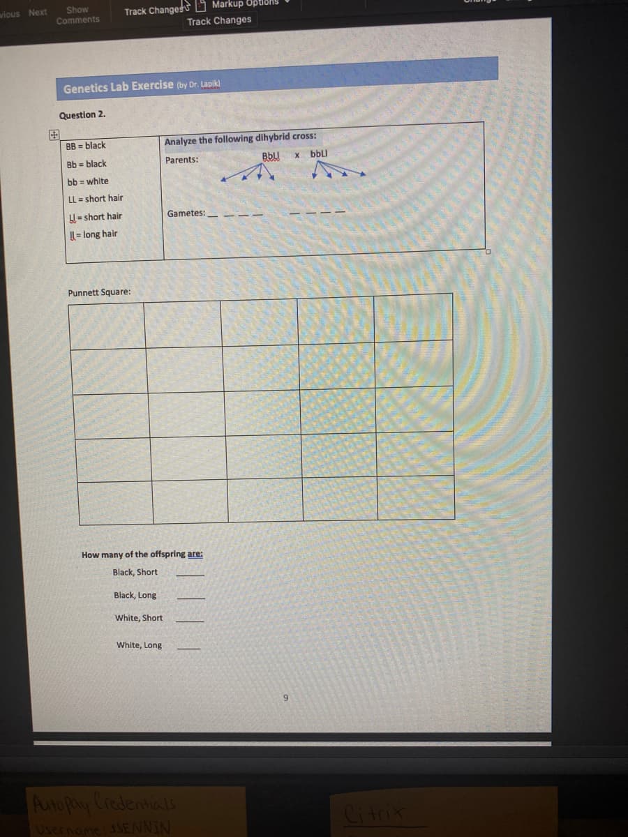 Show
Comments
Track Changet O Markup OptionS
Track Changes
wious Next
Genetics Lab Exercise (by Dr. Lapik)
Question 2.
田
BB = black
Analyze the following dihybrid cross:
Bb = black
Parents:
bbLI
bb = white
LL = short hair
U = short hair
Gametes:
U= long hair
Punnett Square:
How many of the offspring are:
Black, Short
Black, Long
White, Short
White, Long
Autupay Credentials
Username ENNIN
Citrix
