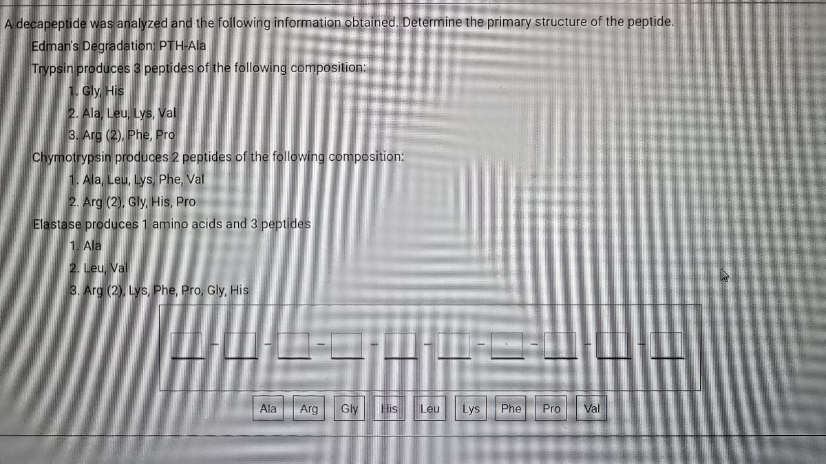 A decapeptide was analyzed and the following information obtained. Determine the primary structure of the peptide.
Edman's Degradation: PTH-Ala
Trypsin produces 3 peptides of the following composition:
1. Gly, His
2. Ala, Leu, Lys, Val
3. Arg (2), Phe, Pro
Chymotrypsin produces 2 peptides of the following composition:
1. Ala, Leu, Lys, Phe, Val
2. Arg (2), Gly, His, Pro
Elastase produces 1 amino acids and 3 peptides
1. Ala
2. Leu, Val
3. Arg (2), Lys, Phe, Pro, Gly, His
Arg
Gly
His
Leu
Phe
Pro
Val

