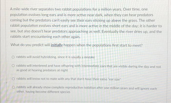 A mile-wide river separates two rabbit populations for a million years. Over time, one
population evolves long ears and is more active near dark, when they can hear predators
coming but the predators can't easily see their ears sticking up above the grass. The other
rabbit population evolves short ears and is more active in the middle of the day; it is harder to
see, but also doesn't hear predators approaching as well. Eventually the river dries up, and the
rabbits start encountering each other again.
What do you predict will initially happen when the populations first start to meet?
O rabbits will avoid hybridizing, since it is usually a mistake
rabbits will interbreed and have offspring with intermediate ears that are visible during the day and not
as good at hearing predators at night
O rabbits will know not to mate with any that don't have their same "ear size"
O rabbits will already show complete reproductive isolation after one million years and will ignore each
other, having become different species