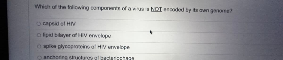 Which of the following components of a virus is NOT encoded by its own genome?
O capsid of HIV
O lipid bilayer of HIV envelope
O spike glycoproteins of HIV envelope
O anchoring structures of bacteriophage