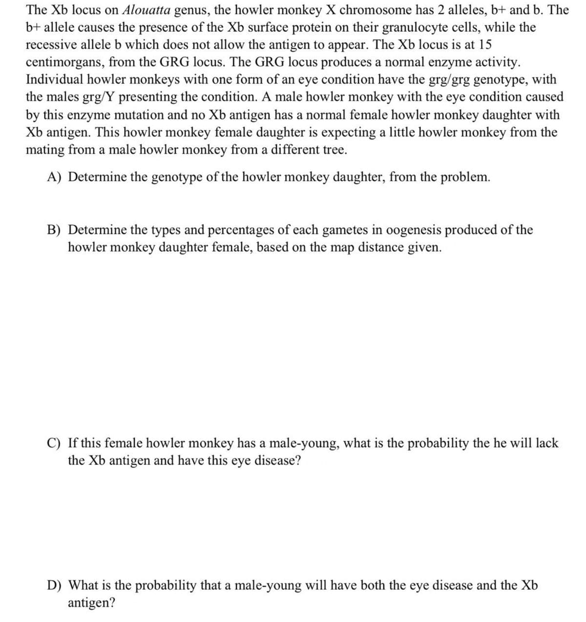 The Xb locus on Alouatta genus, the howler monkey X chromosome has 2 alleles, b+ and b. The
b+ allele causes the presence of the Xb surface protein on their granulocyte cells, while the
recessive allele b which does not allow the antigen to appear. The Xb locus is at 15
centimorgans, from the GRG locus. The GRG locus produces a normal enzyme activity.
Individual howler monkeys with one form of an eye condition have the grg/grg genotype, with
the males grg/Y presenting the condition. A male howler monkey with the eye condition caused
by this enzyme mutation and no Xb antigen has a normal female howler monkey daughter with
Xb antigen. This howler monkey female daughter is expecting a little howler monkey from the
mating from a male howler monkey from a different tree.
A) Determine the genotype of the howler monkey daughter, from the problem.
B) Determine the types and percentages of each gametes in oogenesis produced of the
howler monkey daughter female, based on the map distance given.
C) If this female howler monkey has a male-young, what is the probability the he will lack
the Xb antigen and have this eye disease?
D) What is the probability that a male-young will have both the eye disease and the Xb
antigen?