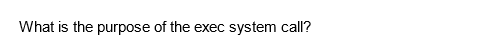 What is the purpose of the exec system call?