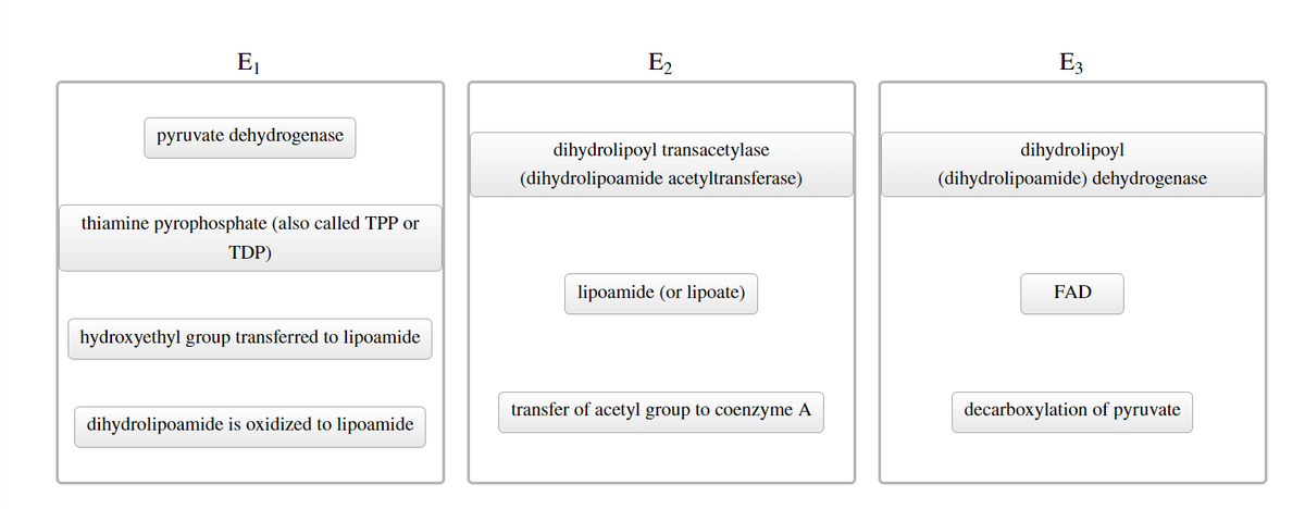 E1
E2
E3
pyruvate dehydrogenase
dihydrolipoyl transacetylase
dihydrolipoyl
(dihydrolipoamide acetyltransferase)
(dihydrolipoamide) dehydrogenase
thiamine pyrophosphate (also called TPP or
TDP)
lipoamide (or lipoate)
FAD
hydroxyethyl group transferred to lipoamide
transfer of acetyl group to coenzyme A
decarboxylation of pyruvate
dihydrolipoamide is oxidized to lipoamide
