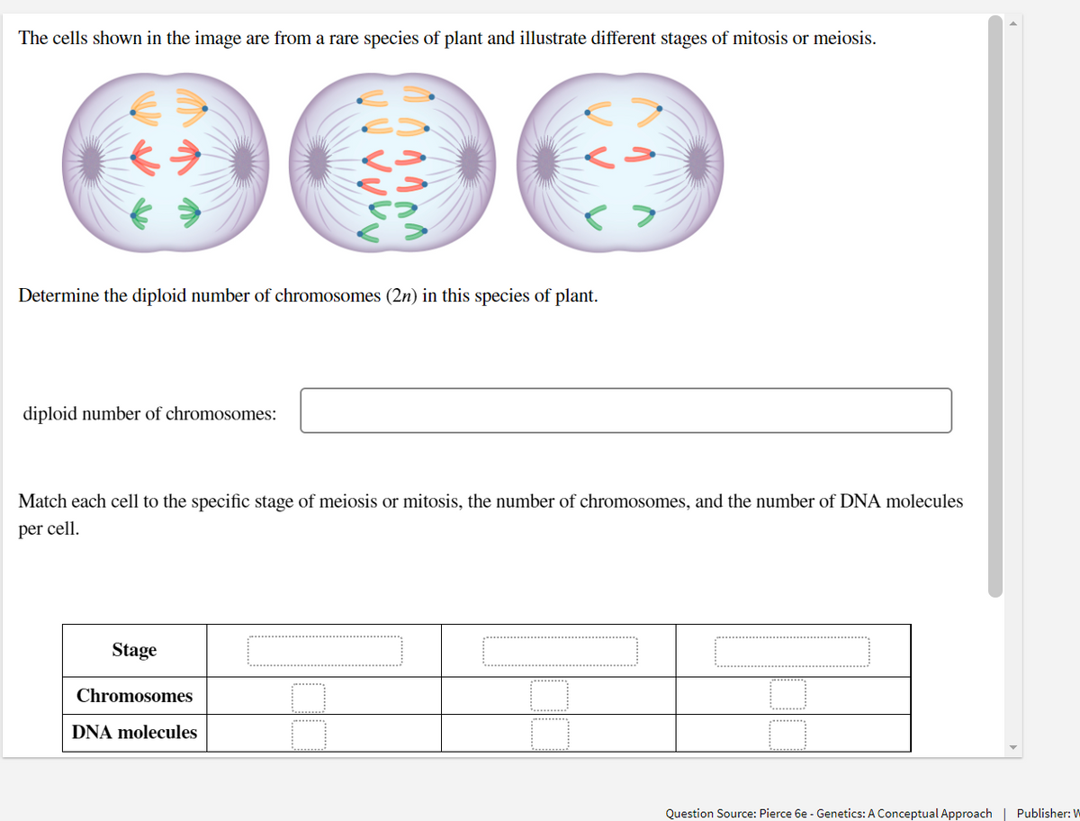 The cells shown in the image are from a rare species of plant and illustrate different stages of mitosis or meiosis.
Determine the diploid number of chromosomes (2n) in this species of plant.
diploid number of chromosomes:
Match each cell to the specific stage of meiosis or mitosis, the number of chromosomes, and the number of DNA molecules
per cell.
Stage
Chromosomes
DNA molecules
8
8
Question Source: Pierce 6e - Genetics: A Conceptual Approach | Publisher: W