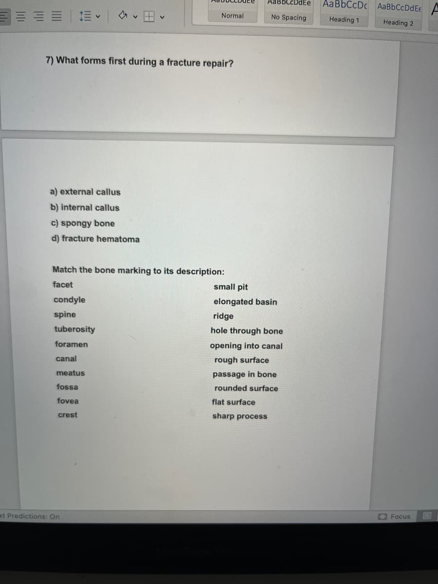 7) What forms first during a fracture repair?
a) external callus
b) internal callus
c) spongy bone
d) fracture hematoma
Match the bone marking to its description:
facet
condyle
spine
Normal
tuberosity
foramen
canal
meatus
fossa
fovea
crest
xt Predictions: On
AabbLCDGEe
No Spacing
small pit
elongated basin
ridge
hole through bone
opening into canal
rough surface
passage in bone
rounded surface
flat surface
sharp process
AaBbCcDcAaBbCcDdEt
Heading 1
Heading 2
Focus
