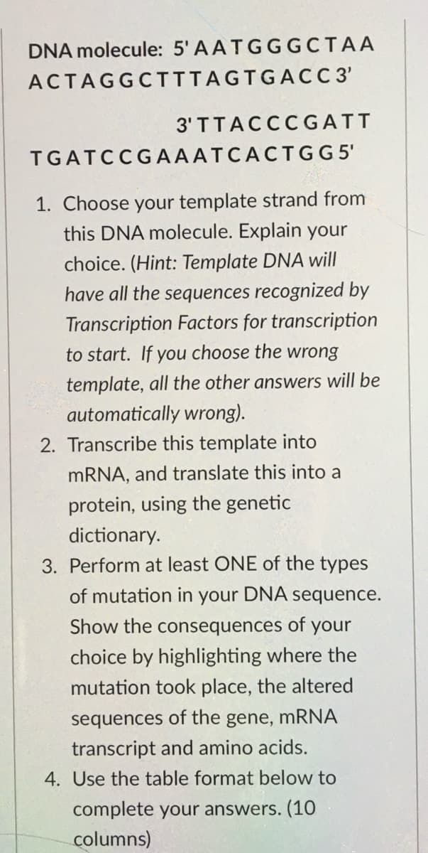 DNA molecule: 5' AATGGGCTAA
ACTAGGCTITAGTGACC 3'
3' TTACCC GATT
TGATCCGAAATCACTGG 5'
1. Choose your template strand from
this DNA molecule. Explain your
choice. (Hint: Template DNA will
have all the sequences recognized by
Transcription Factors for transcription
to start. If you choose the wrong
template, all the other answers will be
automatically wrong).
2. Transcribe this template into
MRNA, and translate this into a
protein, using the genetic
dictionary.
3. Perform at least ONE of the types
of mutation in your DNA sequence.
Show the consequences of your
choice by highlighting where the
mutation took place, the altered
sequences of the gene, mRNA
transcript and amino acids.
4. Use the table format below to
complete your answers. (10
columns)
