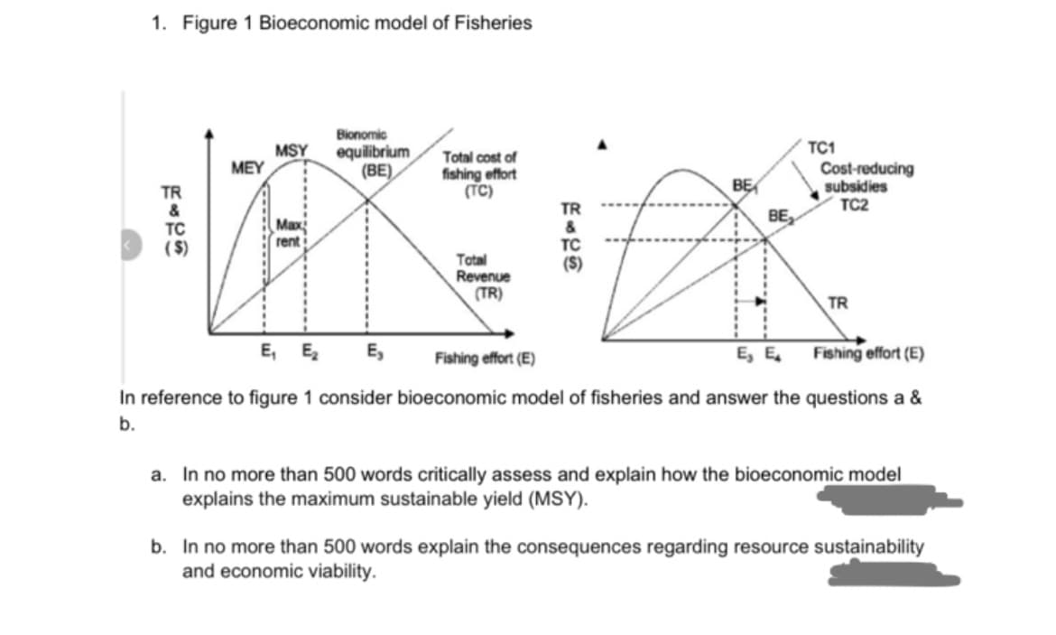 1. Figure 1 Bioeconomic model of Fisheries
TR
TC
($)
MEY
MSY
Maxi
rent
Bionomic
equilibrium
(BE)
Total cost of
fishing effort
(TC)
Total
Revenue
(TR)
TR
&
TC
($)
BE
BE
TC1
Cost-reducing
subsidies
TC2
TR
E₁ E₂ E₂
Fishing effort (E)
E₂ E₁
Fishing effort (E)
In reference to figure 1 consider bioeconomic model of fisheries and answer the questions a &
b.
a. In no more than 500 words critically assess and explain how the bioeconomic model
explains the maximum sustainable yield (MSY).
b. In no more than 500 words explain the consequences regarding resource sustainability
and economic viability.