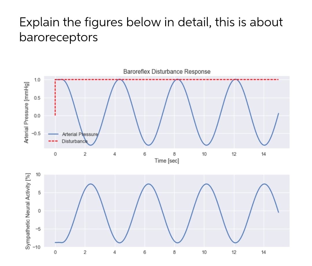 Explain the figures below in detail, this is about
baroreceptors
Baroreflex Disturbance Response
1.0
0.5
0.0
-0.5
Arterial Pressure
Disturbance
0
2
8
10
12
14
m
Im
Time [sec]
10
-5
-10
0
2
4
6
8
12
14
Arterial Pressure [mmHg]
10