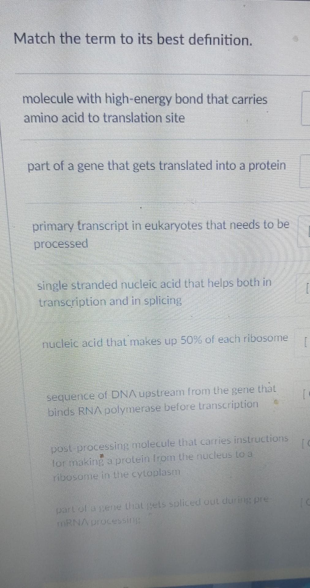 Match the term to its best definition.
molecule with high-energy bond that carries
amino acid to translation site
part of a gene that gets translated into a protein
primary transcript in eukaryotes that needs to be
processed
single stranded nucleic acid that helps both in
transcription and in splicing
nucleic acid that makes up 50% of each ribosome
sequence of DNA upstream from the gene that
binds RNA polymerase before transcription
post processing molecule that carries instructions
for making a protein from the nucleus to a
ribosome in the cytoplasm
part of a gene that gets spliced out during pre
mRNA processing