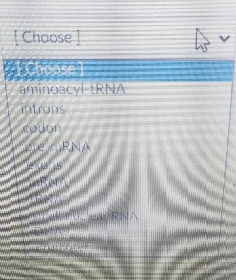 [Choose]
[Choose]
aminoacyl-tRNA
introns
codon
pre-mRNA
IRNA
Small nuclear RNA