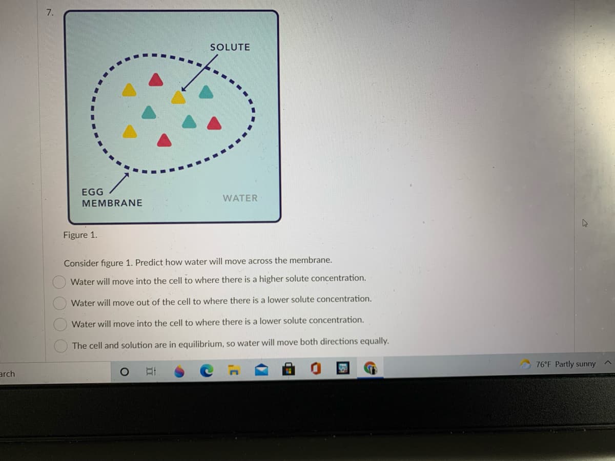SOLUTE
EGG
WATER
MEMBRANE
Figure 1.
Consider figure 1. Predict how water will move across the membrane.
Water will move into the cell to where there is a higher solute concentration.
Water will move out of the cell to where there is a lower solute concentration.
Water will move into the cell to where there is a lower solute concentration.
The cell and solution are in equilibrium, so water will move both directions equally.
76 F Partly sunny
arch
O O O O
