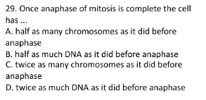 29. Once anaphase of mitosis is complete the cell
has .
A. half as many chromosomes as it did before
anaphase
B. half as much DNA as it did before anaphase
C. twice as many chromosomes as it did before
anaphase
D. twice as much DNA as it did before anaphase
