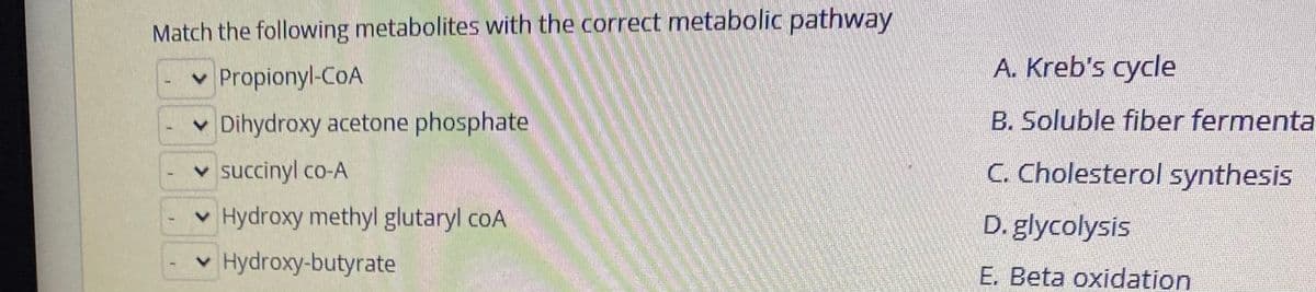 v Hydroxy methyl glutaryl coA
Match the following metabolites with the correct metabolic pathway
v Propionyl-CoA
A. Kreb's cycle
v Dihydroxy acetone phosphate
B. Soluble fiber fermenta
v succinyl co-A
C. Cholesterol synthesis
v Hydroxy methyl glutaryl coA
D. glycolysis
v Hydroxy-butyrate
E. Beta oxidation
