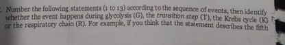 Number the following statements (1 to 13) according to the sequence of events, then identify
whether the event happens during glycolysis (G), the transition step (T), the Krebs eydle (K)
or the respiratory chain (R). For example, if you think that the statement describes the feh
