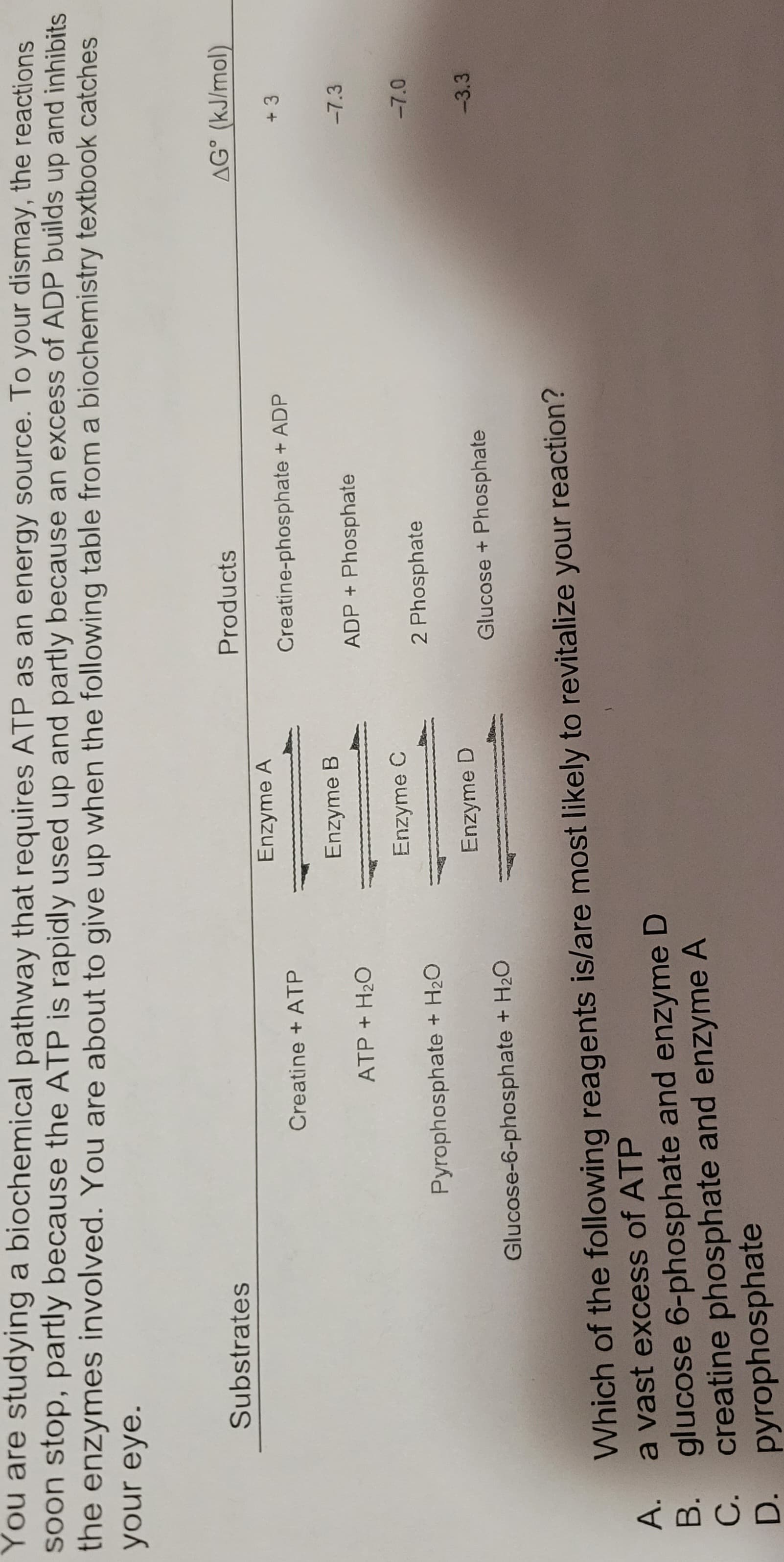 You are studying a biochemical pathway that requires ATP as an energy source. To your dismay, the reactions
soon stop, partly because the ATP is rapidly used up and partly because an excess of ADP builds up and inhibits
the enzymes involved. You are about to give up when the following table from a biochemistry textbook catches
your eye.
A.
ذن فه
B.
Substrates
C.
Creatine + ATP
ATP + H₂O
Pyrophosphate + H₂O
Glucose-6-phosphate + H₂O
Enzyme A
Enzyme B
Enzyme C
Enzyme D
Products
Creatine-phosphate + ADP
Which of the following reagents is/are most likely to revitalize your reaction?
a vast excess of ATP
glucose 6-phosphate and enzyme D
creatine phosphate and enzyme A
D. pyrophosphate
ADP + Phosphate
2 Phosphate
Glucose + Phosphate
AG (kJ/mol)
+3
-7.3
-7.0
-3.3