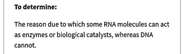 To determine:
The reason due to which some RNA molecules can act
as enzymes or biological catalysts, whereas DNA
cannot.