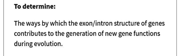 To determine:
The ways by which the exon/intron structure of genes
contributes to the generation of new gene functions
during evolution.