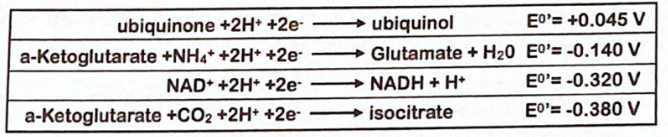 → ubiquinol
+ Glutamate + H20 E0'= -0.140 V
ubiquinone +2H* +2e-
E0'= +0.045 V
a-Ketoglutarate +NH4* +2H* +2e-
NAD* +2H* +2e-
→ NADH + H*
E0'= -0.320 V
a-Ketoglutarate +CO2 +2H* +2e-
→ isocitrate
E0'= -0.380 V
