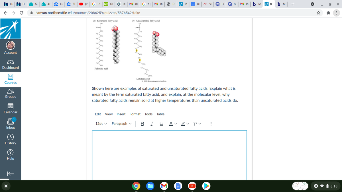 46
2 H
8 Is
M (n Ge
M In
In
VI
LE
Q s M In
b M 7 x
+
uv
A canvas.northseattle.edu/courses/2086259/quizzes/5876542/take
(a) Saturated fatty acid
(b) Unsaturated fatty acid
Account
Dashboard
Palmitic acid
Linoleic acid
200L anauer Aemciates Ine.
Courses
Shown here are examples of saturated and unsaturated fatty acids. Explain what is
meant by the term saturated fatty acid, and explain, at the molecular level, why
Groups
saturated fatty acids remain solid at higher temperatures than unsaturated acids do.
Calendar
Edit View Insert Format Tools
Table
В
T? v:
12pt v
Paragraph v
U
A
Inbox
History
Help
8:18
