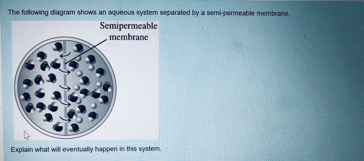 The following diagram shows an aqueous system separated by a semi-permeable membrane.
Semipermeable
membrane
Explain what will eventually happen in this system.
