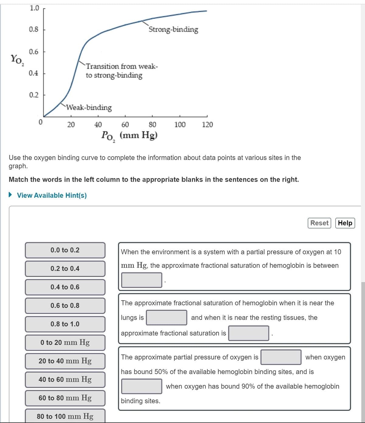 Yo₂
1.0
0.8
0.6
0.4
0.2
0
Weak-binding
20
0.0 to 0.2
0.2 to 0.4
0.4 to 0.6
0.6 to 0.8
Transition from weak-
to strong-binding
0.8 to 1.0
40
Use the oxygen binding curve to complete the information about data points at various sites in the
graph.
Match the words in the left column to the appropriate blanks in the sentences on the right.
► View Available Hint(s)
Strong-binding
0 to 20 mm Hg
20 to 40 mm Hg
40 to 60 mm Hg
60 to 80 mm Hg
80 to 100 mm Hg
60
80
Po₂ (mm Hg)
100
120
Reset Help
When the environment is a system with a partial pressure of oxygen at 10
mm Hg, the approximate fractional saturation of hemoglobin is between
binding sites.
The approximate fractional saturation of hemoglobin when it is near the
lungs is
and when it is near the resting tissues, the
approximate fractional saturation is
The approximate partial pressure of oxygen is
has bound 50% of the available hemoglobin binding sites, and is
when oxygen
when oxygen has bound 90% of the available hemoglobin