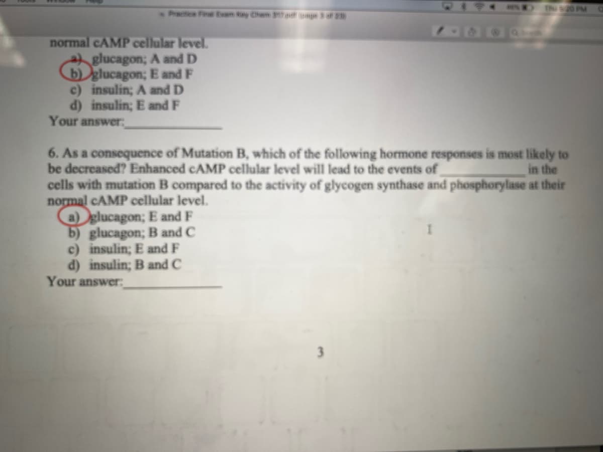 Thu s20 PM
Practice Final Evam tay Cham ge s of 2)
normal CAMP cellular level.
glucagon; A andD
bglucagon; E and F
c) insulin; A and D
d) insulin; E and F
Your answer
6. As a consequence of Mutation B, which of the following hormone responses is most likely to
be decreased? Enhanced CAMP cellular level will lead to the events of
cells with mutation B compared to the activity of glycogen synthase and phosphorylase at their
normal CAMP cellular level.
a) glucagon; E and F
b) glucagon; B and C
c) insulin; E and F
d) insulin; B and C
Your answer
in the
