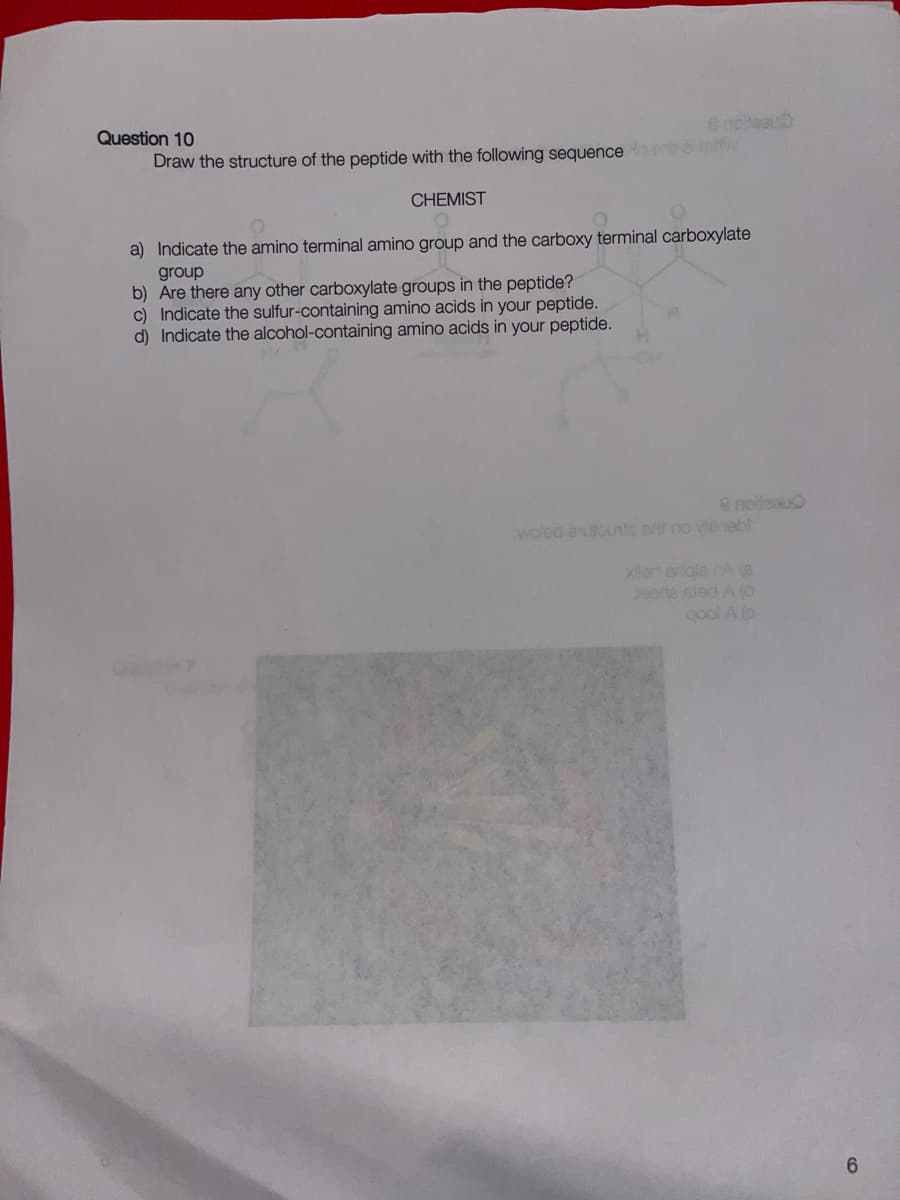 Question 10
& noite
Draw the structure of the peptide with the following sequence qertai terf
CHEMIST
0
a) Indicate the amino terminal amino group and the carboxy terminal carboxylate
group
b) Are there any other carboxylate groups in the peptide?
c) Indicate the sulfur-containing amino acids in your peptide.
d) Indicate the alcohol-containing amino acids in your peptide.
8 noitesu
woled autourte erit no vlinebl
xilart eriqle nA (6
Jarle sted A (0
gool A (p
6