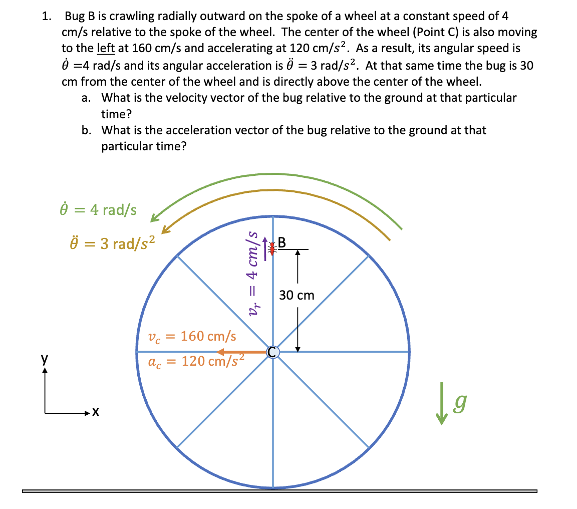 1. Bug B is crawling radially outward on the spoke of a wheel at a constant speed of 4
cm/s relative to the spoke of the wheel. The center of the wheel (Point C) is also moving
to the left at 160 cm/s and accelerating at 120 cm/s². As a result, its angular speed is
8 =4 rad/s and its angular acceleration is = 3 rad/s². At that same time the bug is 30
cm from the center of the wheel and is directly above the center of the wheel.
a. What is the velocity vector of the bug relative to the ground at that particular
time?
b. What is the acceleration vector of the bug relative to the ground at that
particular time?
8 = 4 rad/s
Ö = 3 rad/s²
→X
Vc = 160 cm/s
ac
=
V₁ = 4 cm/s
120 cm/s²
TAY
30 cm
↓g