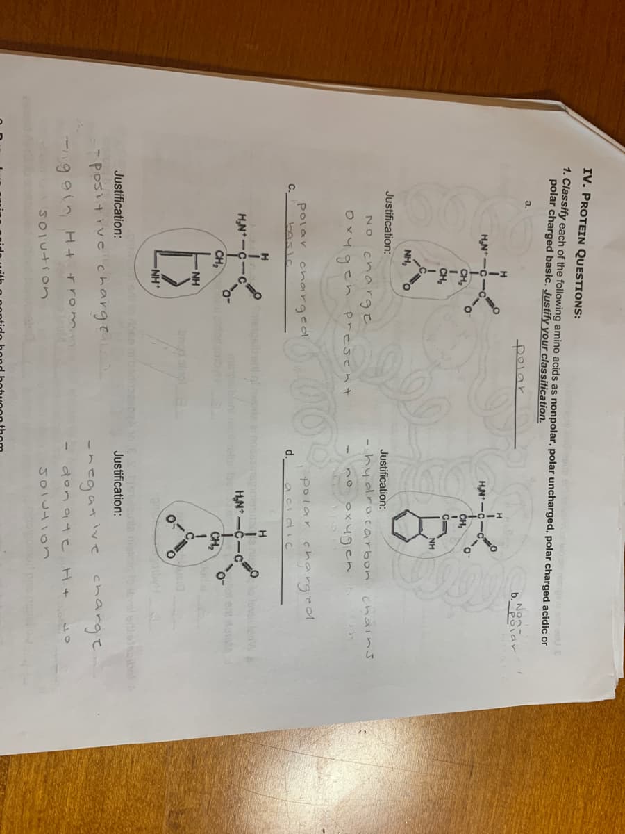 IV. PROTEIN QUESTIONS:
1. Classify each of the following amino acids as nonpolar, polar uncharged, polar charged acidic or
polar charged basic. Justify your classification.
a.
polar
Non-
b.Poia
H
HN*--o
HN-C
CH,
CH,
CH
NH
NH,
Justification:
Justification:
NO cnaroe
-hydrocarbon cmains
Ox4gen present
o ox4gen
00
polar charged
d.
Polar charged
C.
basic
acidıc
fove w
H,N* -C-c
H,N* -C-C
allat eat dat
CH,
CH,
NH
bngd singl
NH+
olscibel A
Justification:
Justification:
- positive charge
-negative charge
90in H+rrom
don a4 e H+
SOIUtion
JOlUHIOn
