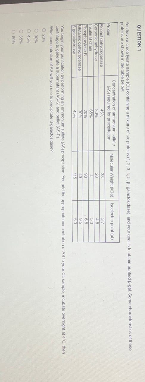 QUESTION 1
You have a crude lysate sample (CL) containing a mixture of six proteins (1, 2, 3, 4, 5, ẞ- galactosidase), and your goal is to obtain purified ẞ-gal. Some characteristics of these
proteins are shown in the table below
Protein
Alcohol dehydrogenase
Carbonic anhydrase
Insulin B chain
Phosphorylase B
Glutamic dehydrogenase
B-galactosidase
Concentration of ammonium sulfate
(AS) required for precipitation
Molecular Weight (kDa) Isoelectric point (pl)
45%
38
3.7
80%
65%
20%
30%
45%
28
4.8
4
5.3
98
6.8
.
49
9.5
115
5.3
You begin your purification by performing an ammonium sulfate (AS) precipitation. You add the appropriate concentration of AS to your CL sample, incubate overnight at 4°C, then
centrifuge to generate a supernatant (AS-S) and pellet (AS-P).
What concentration of AS will you use to precipitate ẞ-galactosidase?
20%
30%
45%
65%
O 80%