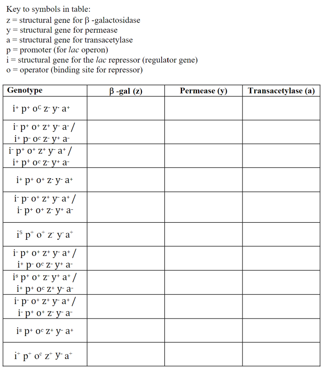 Key to symbols in table:
z = structural gene for ß-galactosidase
y = structural gene for permease
a = structural gene for transacetylase
p = promoter (for lac operon)
i = structural gene for the lac repressor (regulator gene)
o = operator (binding site for repressor)
ß-gal (z)
Genotype
i+ p+ oc z-y-a+
i- pt o+ z+ y- a- /
i+ p- oc z- y+ a-
i- p¹ ot z+ y¯ a+ /
i+ p¹ oc z- y+ a-
i+p+ o+ z-y-a+
i- p- ot z+ y a+ /
i-p+ o+ z- y+ a-
is poz yat
i¯ p* o* z+ y− a+ /
i+ p- oc z-y+ a-
is p+ ot z¯ y+ a¹ /
i+p+ oc z+ y-a-
i- p- o+z+ya+/
i-p+o+ z-ya-
is p+ oc z+ y a+
it p* oº z yat
Permease (y)
Transacetylase (a)