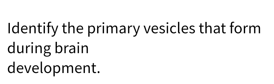 Identify the primary vesicles that form
during brain
development.
