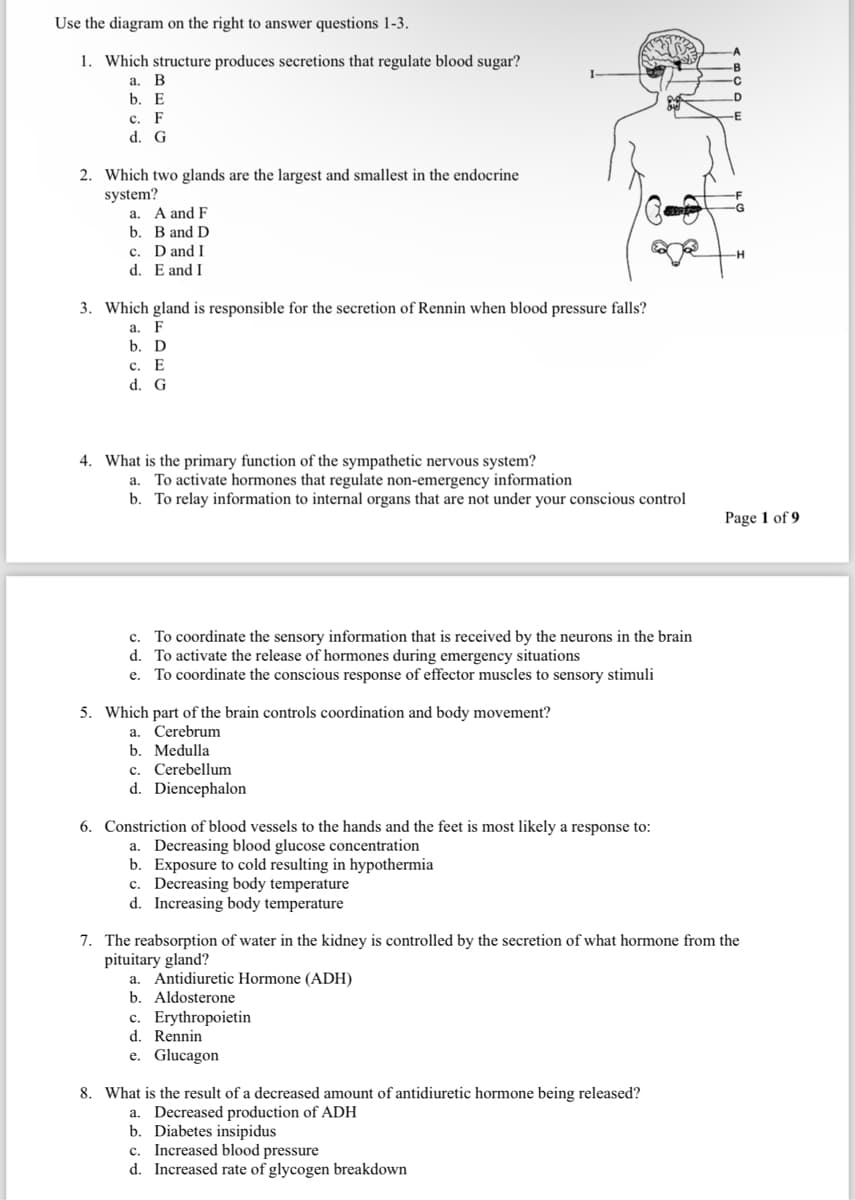 Use the diagram on the right to answer questions 1-3.
1. Which structure produces secretions that regulate blood sugar?
a. B
b. E
c. F
d. G
2. Which two glands are the largest and smallest in the endocrine
system?
a. A and F
b. B and D
c. D and I
d. E and I
3. Which gland is responsible for the secretion of Rennin when blood pressure falls?
a. F
b. D
c. E
d. G
4. What is the primary function of the sympathetic nervous system?
D
-H
a. To activate hormones that regulate non-emergency information
b. To relay information to internal organs that are not under your conscious control
Page 1 of 9
c. To coordinate the sensory information that is received by the neurons in the brain
d. To activate the release of hormones during emergency situations
e. To coordinate the conscious response of effector muscles to sensory stimuli
5. Which part of the brain controls coordination and body movement?
a. Cerebrum
b. Medulla
c. Cerebellum
d. Diencephalon
6. Constriction of blood vessels to the hands and the feet is most likely a response to:
a. Decreasing blood glucose concentration
b. Exposure to cold resulting in hypothermia
c. Decreasing body temperature
d. Increasing body temperature
7. The reabsorption of water in the kidney is controlled by the secretion of what hormone from the
pituitary gland?
a. Antidiuretic Hormone (ADH)
b. Aldosterone
c. Erythropoietin
d. Rennin
e. Glucagon
8. What is the result of a decreased amount of antidiuretic hormone being released?
a. Decreased production of ADH
b. Diabetes insipidus
c. Increased blood pressure
d. Increased rate of glycogen breakdown