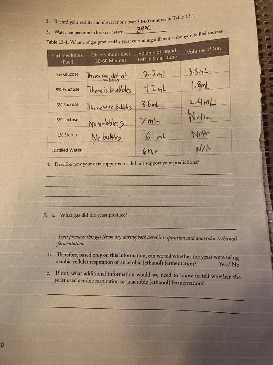 -0
2. Record your results and observations over 30-60 minutes in Table 13-1.
39°C
3. Water temperature in beaker at start:
Table 13-1. Volume of gas produced by yeast consuming different carbohydrate fuel sources
Carbohydrates
(Fuel)
5% Glucose
There are alot of
Dubbin
5% Fructose There is pubbles
5% Sucrose
5% Lactose
1% Starch
Observations over
30-60 Minutes
Distilled Water
Volume of Liquid
Left in Small Tube
2.2m1
4.2mL
There wire babbles 3.6mL
Nobubbles
7mL
No bubbl
5. a. What gas did the yeast produce?
в ть
Volume of Gas
3.8mL
1.8mL
24mL
Noha
N/A
621
4. Describe how your data supported or did not support your predictions?
N/A
Yeast produces this gas (from 5a) during both aerobic respiration and anaerobic (ethanol)
fermentation.
b. Therefore, based only on this information, can we tell whether the yeast were using
aerobic cellular respiration or anaerobic (ethanol) fermentation?
Yes/No
c. If not, what additional information would we need to know to tell whether the
yeast used aerobic respiration or anaerobic (ethanol) fermentation?