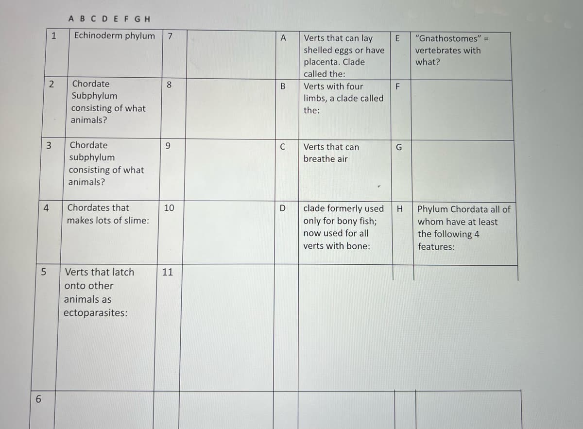 ABCDEF GH
1
Echinoderm phylum
A
Verts that can lay
E
"Gnathostomes" =
shelled eggs or have
placenta. Clade
called the:
vertebrates with
what?
2
Chordate
8
Verts with four
F
Subphylum
limbs, a clade called
consisting of what
animals?
the:
Chordate
9.
C
Verts that can
subphylum
breathe air
consisting of what
animals?
Chordates that
clade formerly used
only for bony fish;
4
10
Phylum Chordata all of
makes lots of slime:
whom have at least
now used for all
the following 4
verts with bone:
features:
Verts that latch
11
onto other
animals as
ectoparasites:
