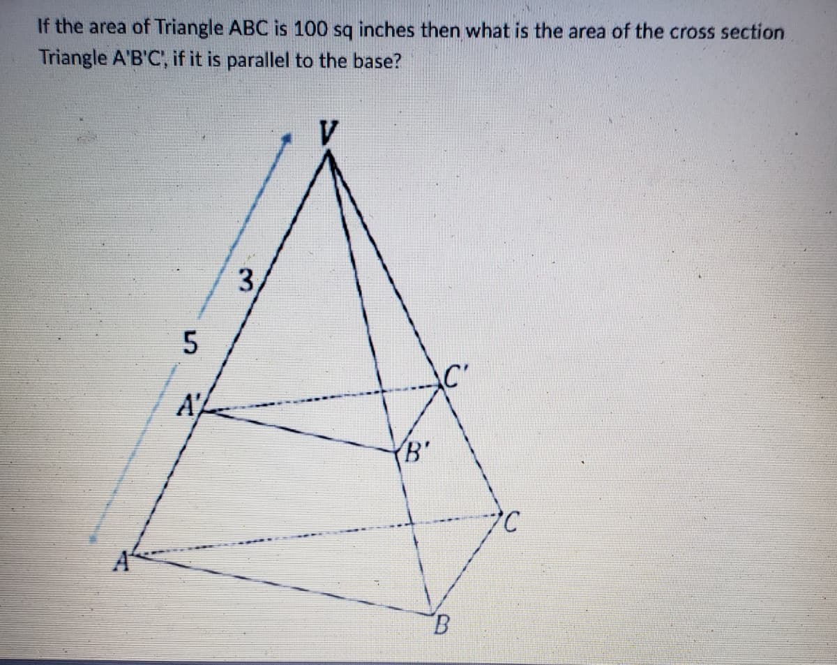 If the area of Triangle ABC is 100 sq inches then what is the area of the cross section
Triangle A'B'C', if it is parallel to the base?
5
A'
3
V
B'
B
20
