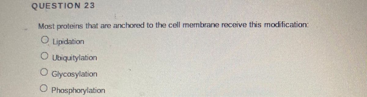 QUESTION 23
Most proteins that are anchored to the cell membrane receive this modification:
O Lipidation
O Ubiquitylation
Glycosylation
O Phosphorylation
