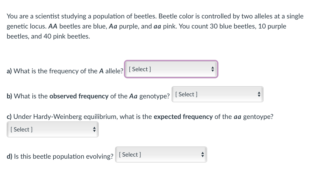 You are a scientist studying a population of beetles. Beetle color is controlled by two alleles at a single
genetic locus. AA beetles are blue, Aa purple, and aa pink. You count 30 blue beetles, 10 purple
beetles, and 40 pink beetles.
a) What is the frequency of the A allele? [ Select ]
b) What is the observed frequency of the Aa genotype? 1 Select ]
c) Under Hardy-Weinberg equilibrium, what is the expected frequency of the aa gentoype?
[ Select ]
d) Is this beetle population evolving? I Select ]
