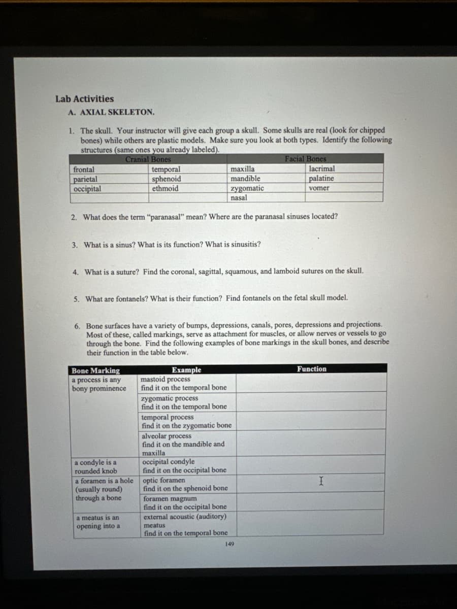 Lab Activities
A. AXIAL SKELETON.
1. The skull. Your instructor will give each group a skull. Some skulls are real (look for chipped
bones) while others are plastic models. Make sure you look at both types. Identify the following
structures (same ones you already labeled).
frontal
parietal
occipital
Cranial Bones
temporal
sphenoid
ethmoid
Facial Bones
maxilla
mandible
lacrimal
palatine
zygomatic
nasal
vomer
2. What does the term "paranasal" mean? Where are the paranasal sinuses located?
3. What is a sinus? What is its function? What is sinusitis?
4. What is a suture? Find the coronal, sagittal, squamous, and lamboid sutures on the skull.
5. What are fontanels? What is their function? Find fontanels on the fetal skull model.
6. Bone surfaces have a variety of bumps, depressions, canals, pores, depressions and projections.
Most of these, called markings, serve as attachment for muscles, or allow nerves or vessels to go
through the bone. Find the following examples of bone markings in the skull bones, and describe
their function in the table below.
Bone Marking
a process is any
bony prominence
Example
mastoid process
find it on the temporal bone
zygomatic process
find it on the temporal bone
Function
temporal process
find it on the zygomatic bone
alveolar process
a condyle is a
rounded knob
a foramen is a hole
(usually round)
through a bone
a meatus is an
opening into a
find it on the mandible and
maxilla
occipital condyle
find it on the occipital bone
optic foramen
find it on the sphenoid bone
foramen magnum
find it on the occipital bone
external acoustic (auditory)
meatus
find it on the temporal bone
149
I